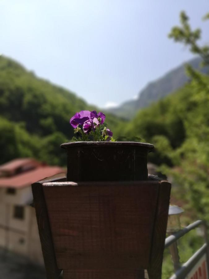 Дом Бакалски-Кмета Narechenski Bani Εξωτερικό φωτογραφία