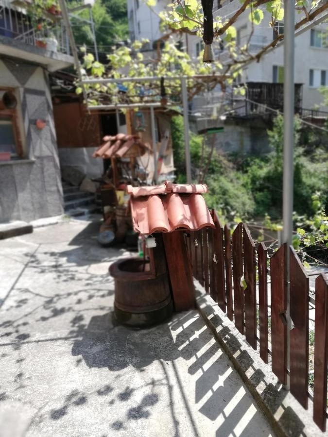 Дом Бакалски-Кмета Narechenski Bani Εξωτερικό φωτογραφία
