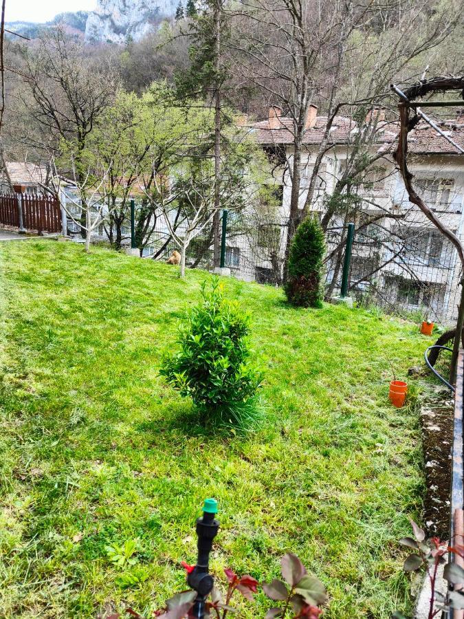 Дом Бакалски-Кмета Narechenski Bani Εξωτερικό φωτογραφία